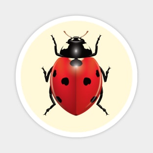 Ladybug Magnet